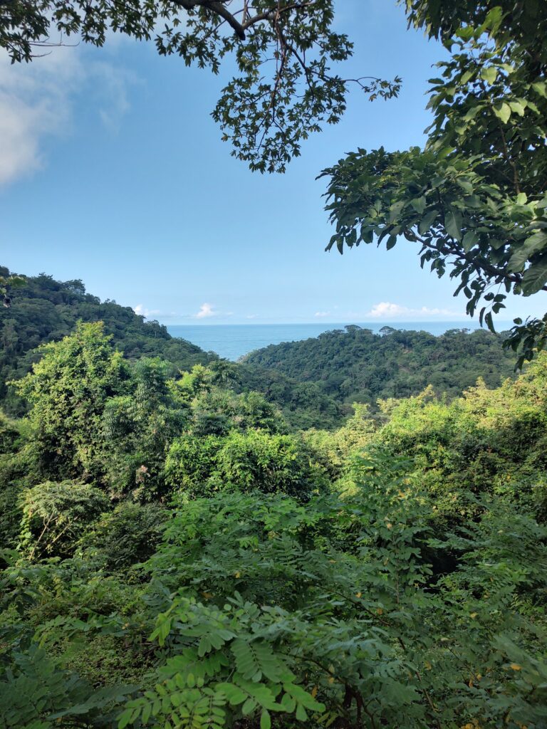 IMG_20221110_080141481_HDR