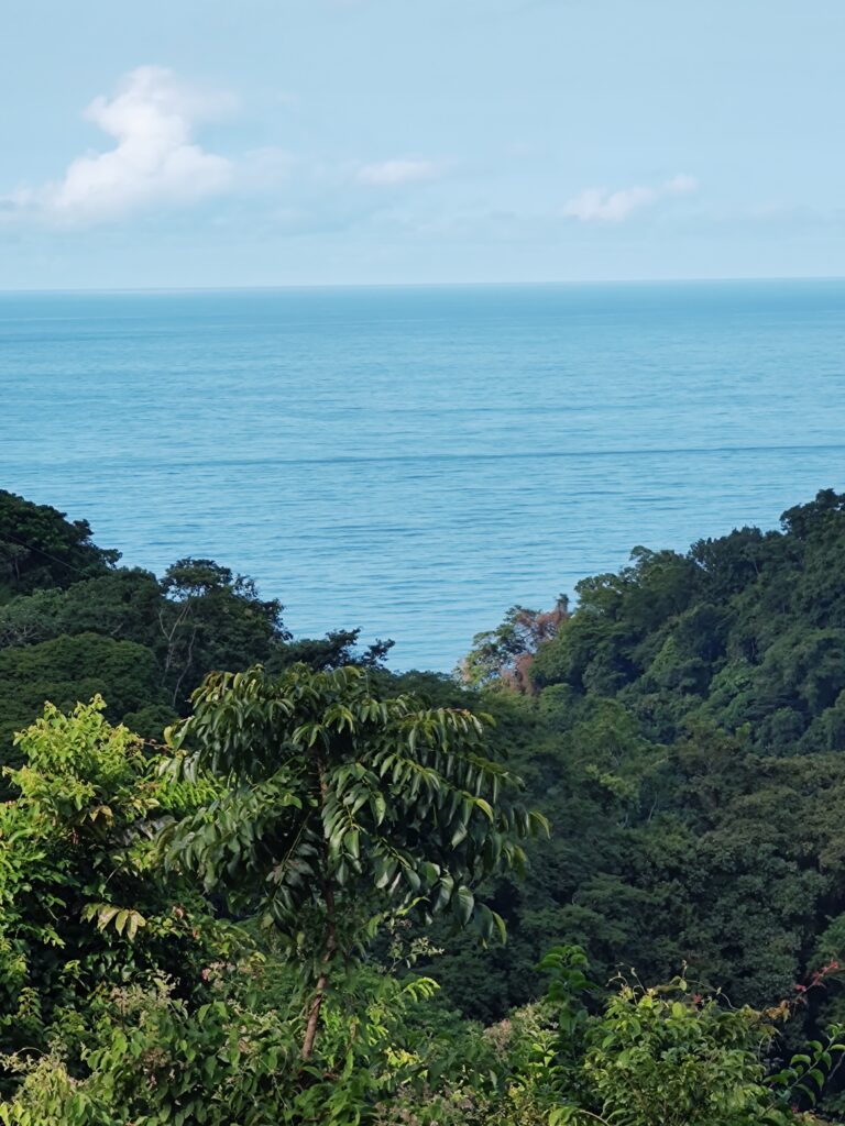 IMG_20221110_080147947