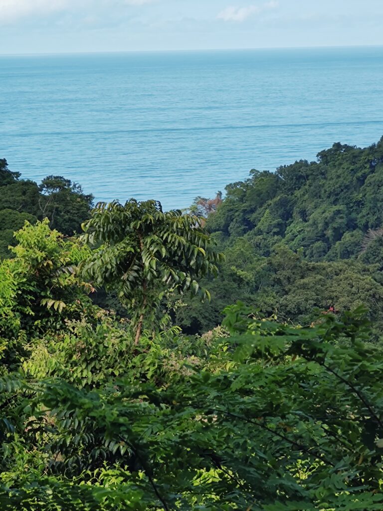 IMG_20221110_080210310