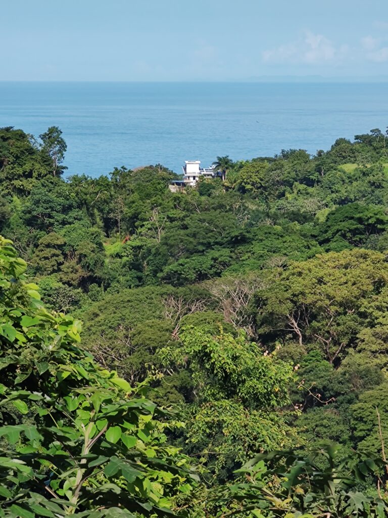 IMG_20221110_080236603