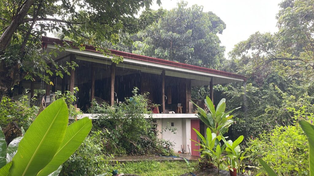 96e28350-e52e-4406-9fc9-cde5d1180a2b