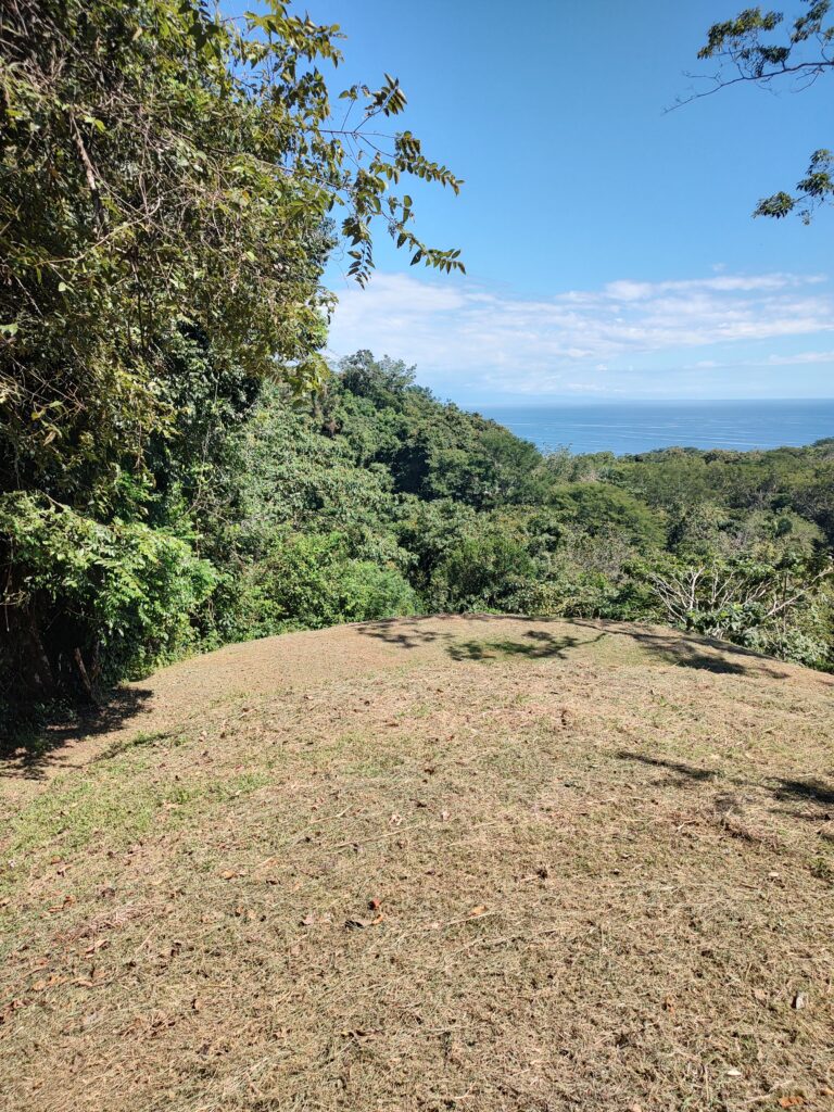 IMG_20221207_121108166_HDR