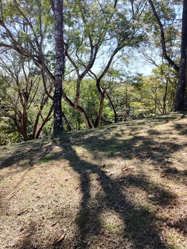 IMG_20221207_121411350_HDR