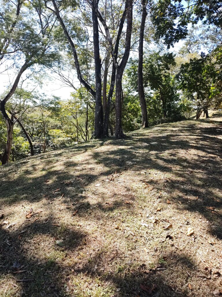 IMG_20221207_121413550