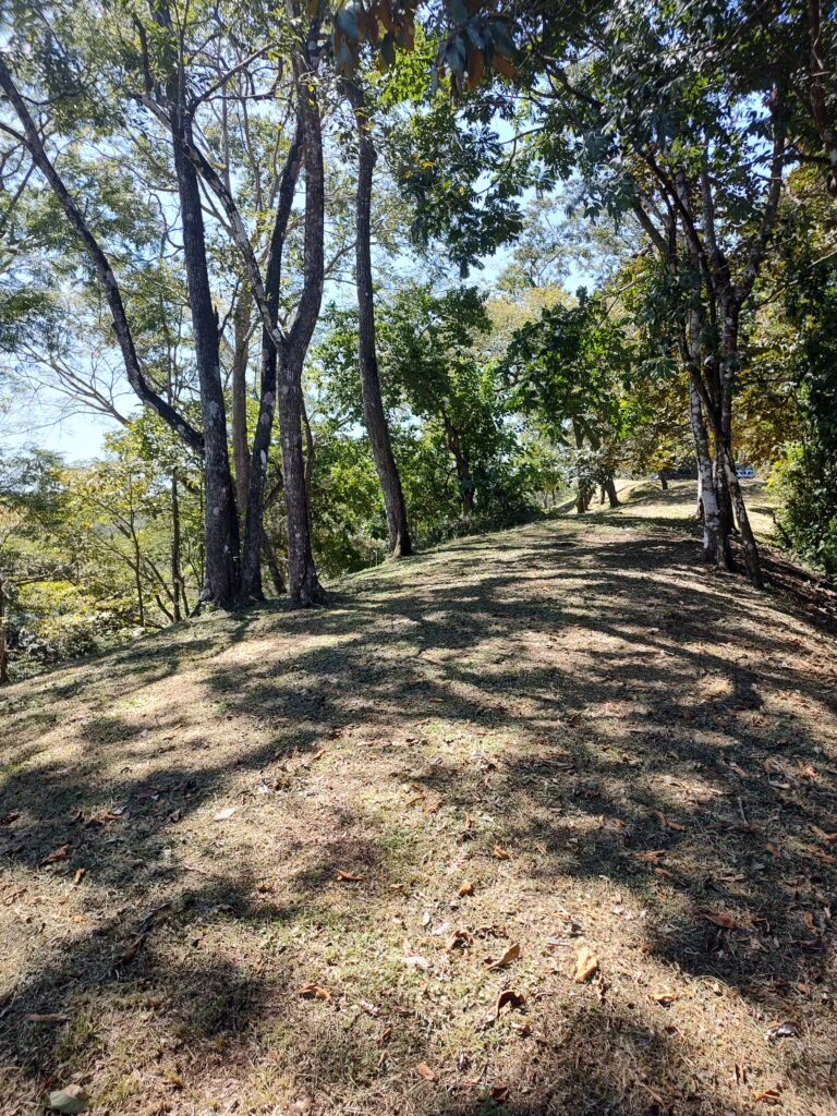 IMG_20221207_121419185_HDR