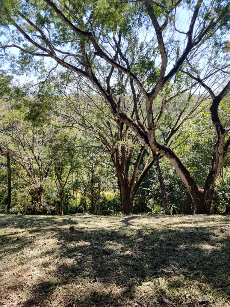 IMG_20221207_121430065_HDR