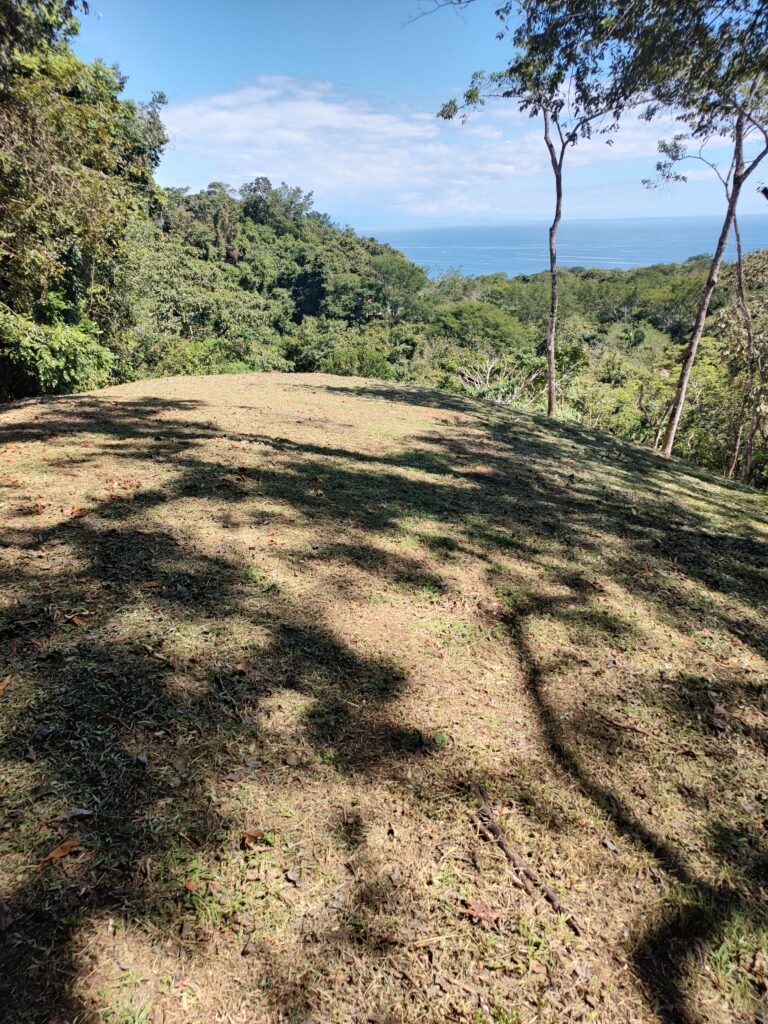 IMG_20221207_121437896_HDR