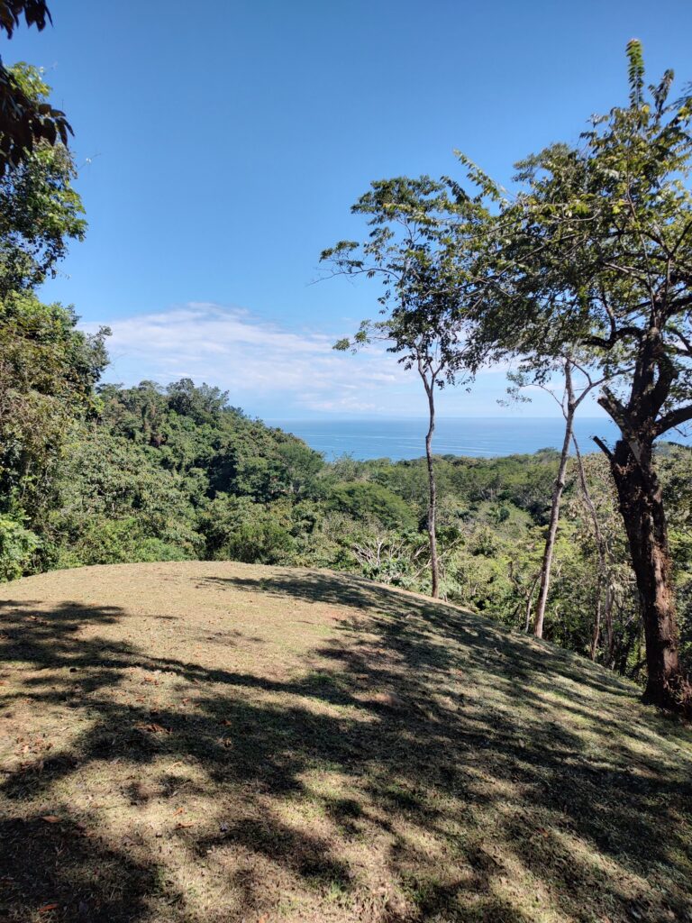 IMG_20221207_121442030_HDR