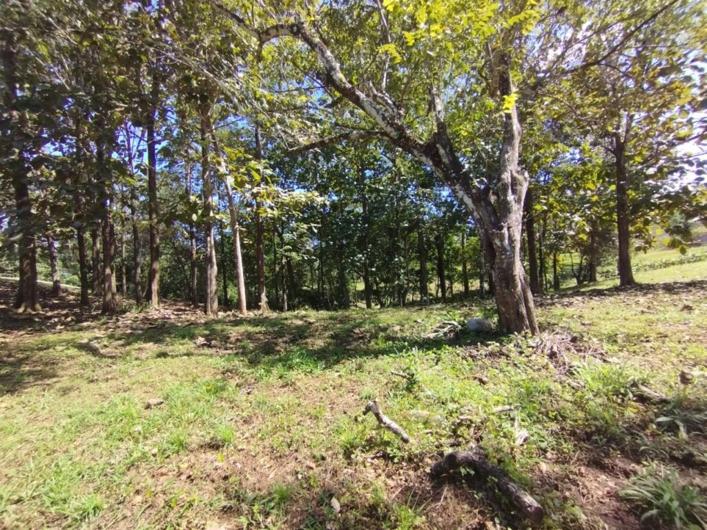 Photo from Embrujitos (1)