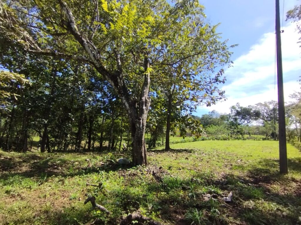 Photo from Embrujitos (10)