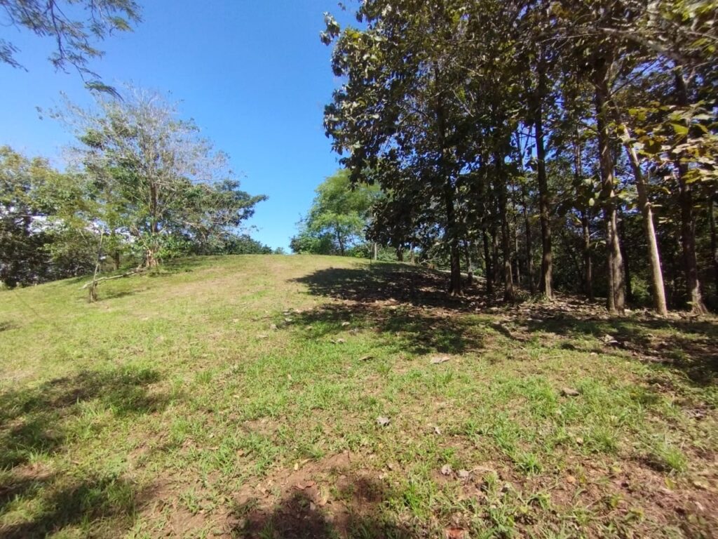 Photo from Embrujitos