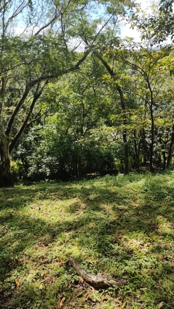 Photo from Embrujitos (12)