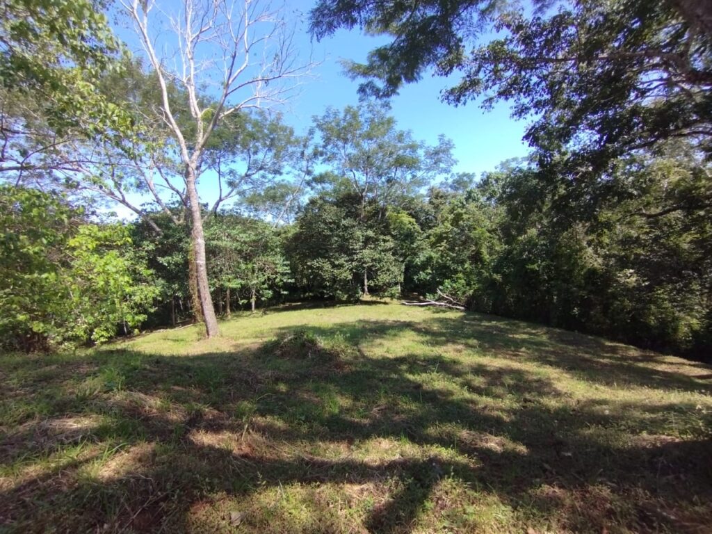 Photo from Embrujitos (3)