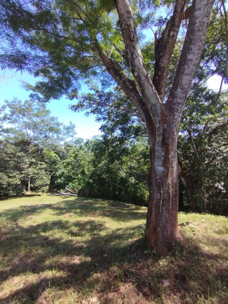 Photo from Embrujitos (4)