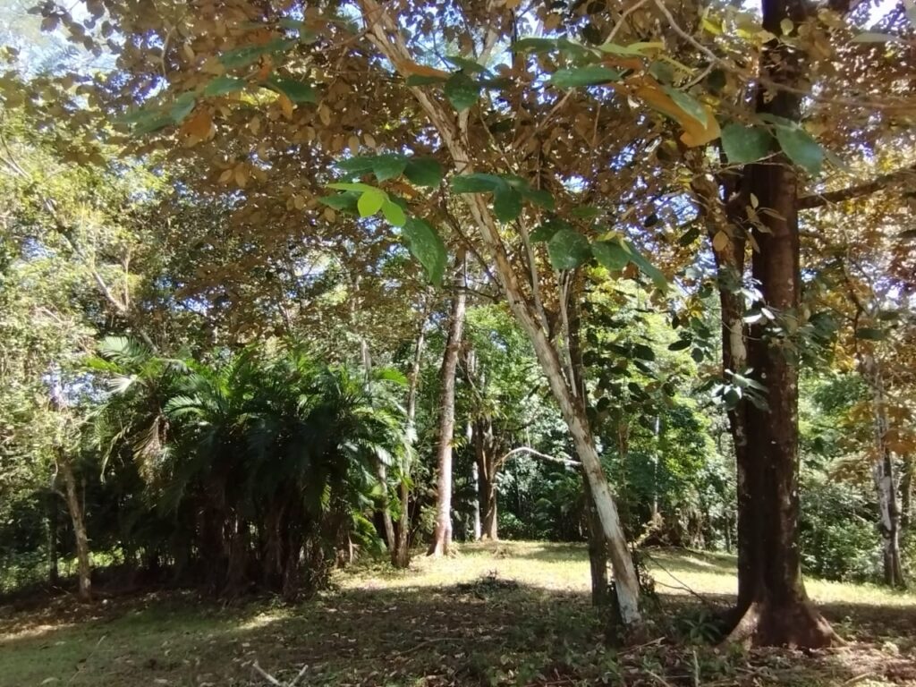 Photo from Embrujitos (6)