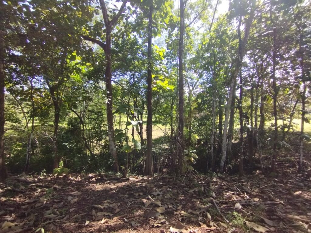 Photo from Embrujitos (7)