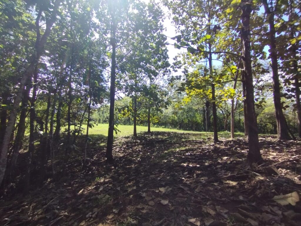 Photo from Embrujitos (8)