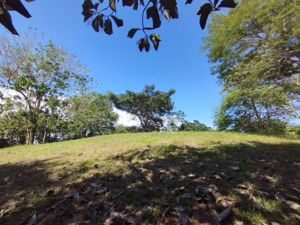 Photo from Embrujitos (9)