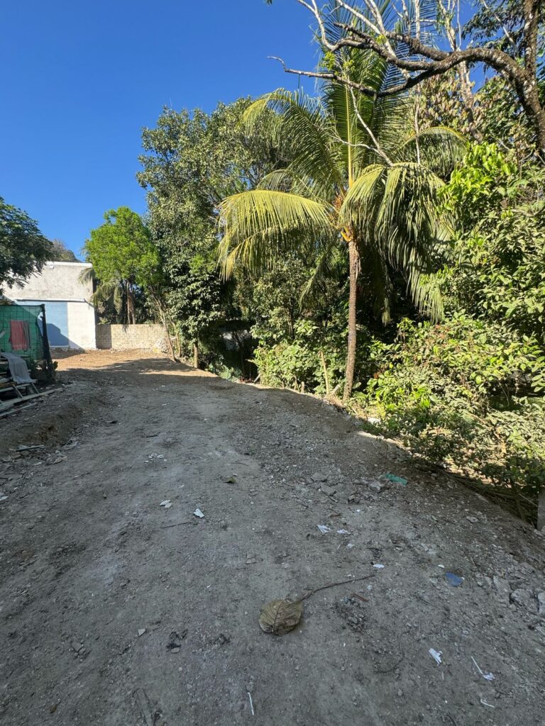 WhatsApp Image 2025-03-01 at 10.41.07 (1)