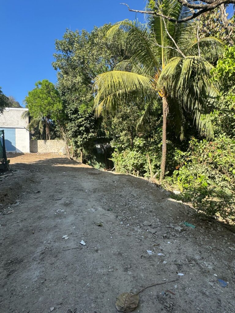 WhatsApp Image 2025-03-01 at 10.41.07 (2)