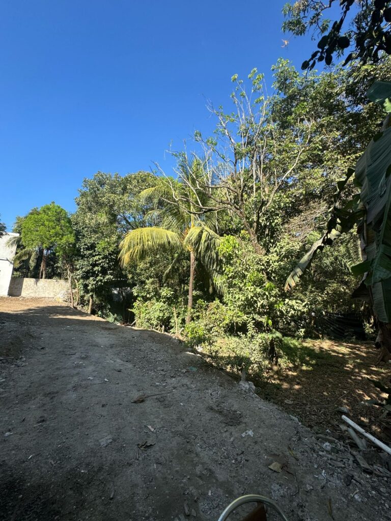 WhatsApp Image 2025-03-01 at 10.41.07