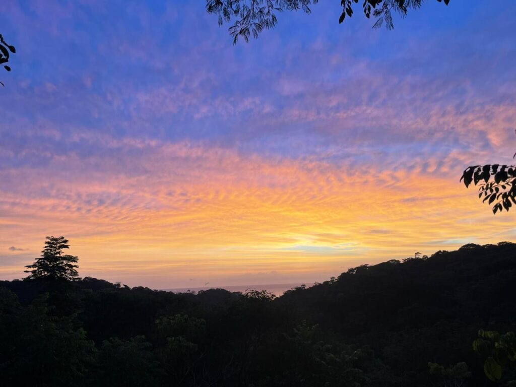 f2373f67-2c5d-4f18-8000-1ca0c33179da