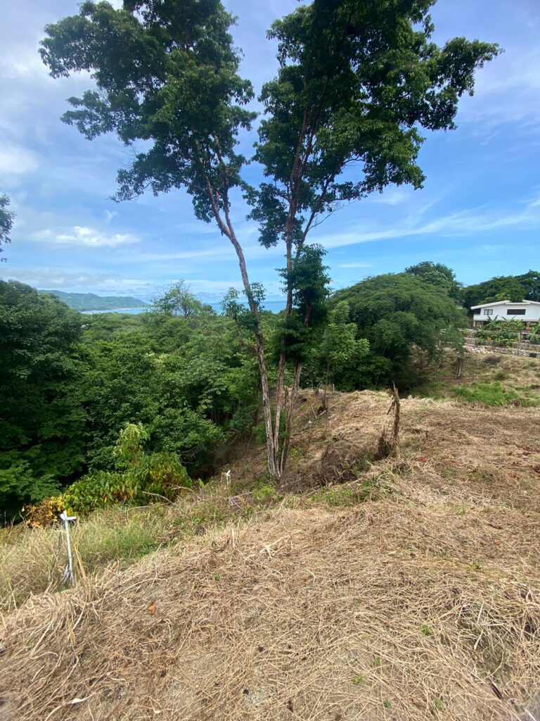 WhatsApp Image 2024-07-08 at 19.22.02 (1)