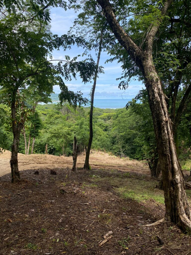 WhatsApp Image 2024-07-08 at 19.22.02 (2)