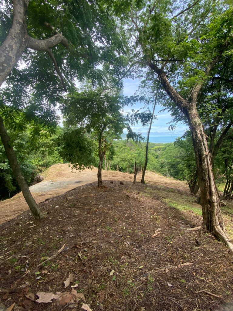 WhatsApp Image 2024-07-08 at 19.22.02 (3)