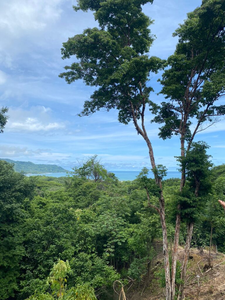 WhatsApp Image 2024-07-08 at 19.22.02 (4)