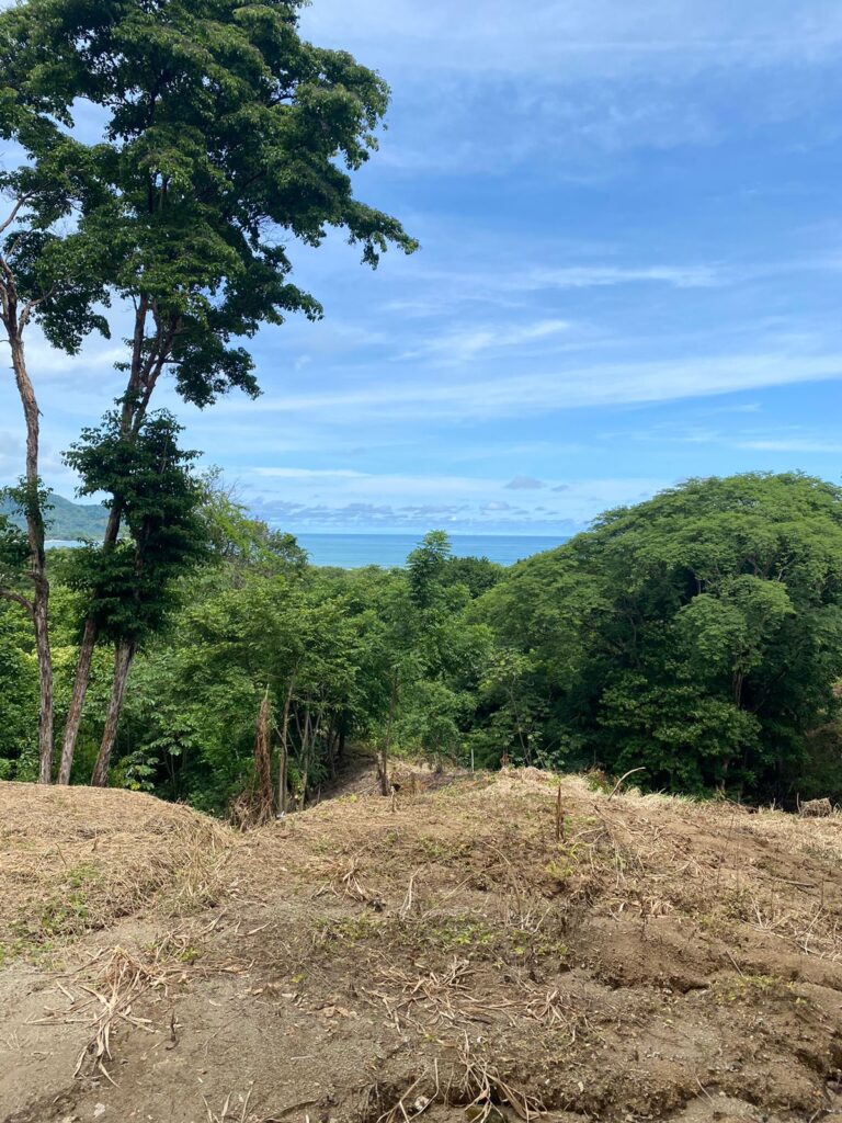 WhatsApp Image 2024-07-08 at 19.22.03 (1)