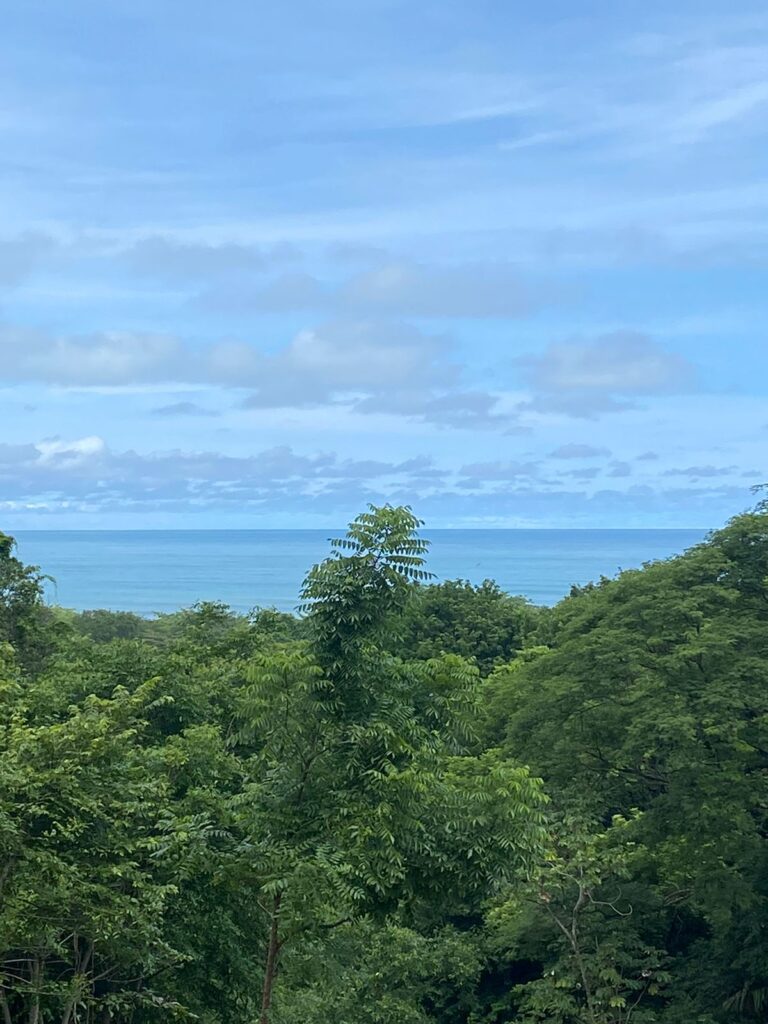 WhatsApp Image 2024-07-08 at 19.22.03 (3)