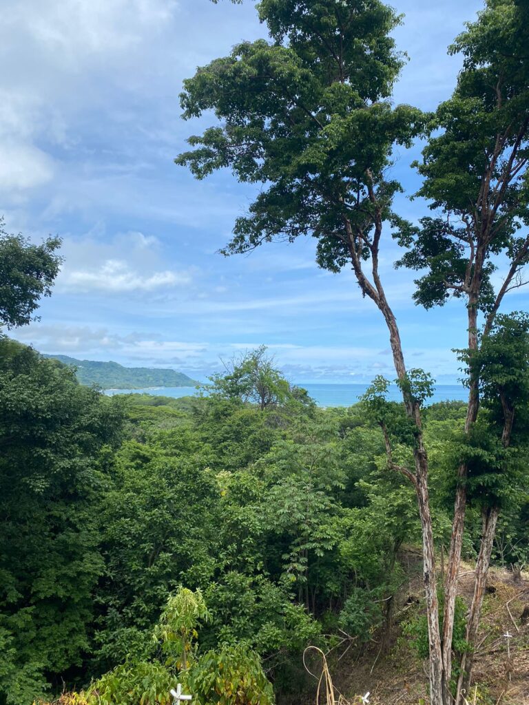 WhatsApp Image 2024-07-08 at 19.22.03