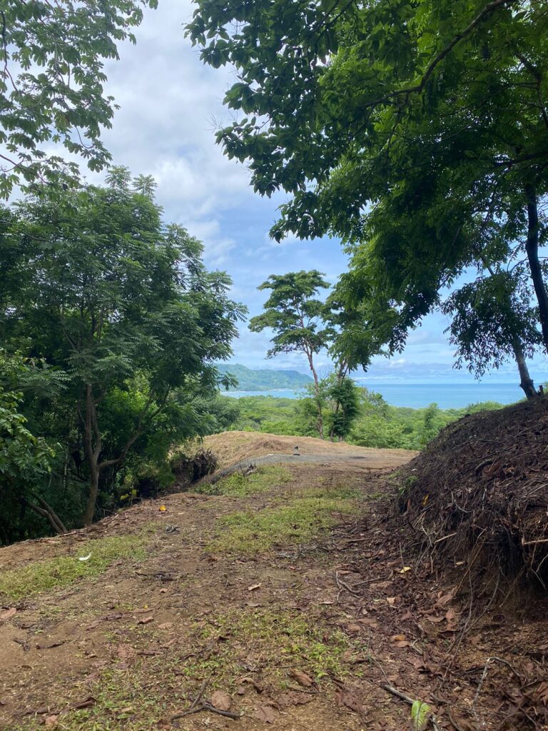 WhatsApp Image 2024-07-08 at 19.22.04