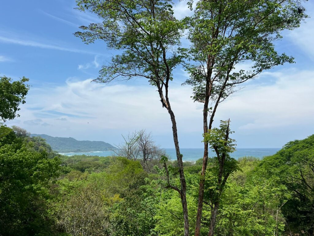 ebdf6094-df54-411f-82d3-93be4a48e459