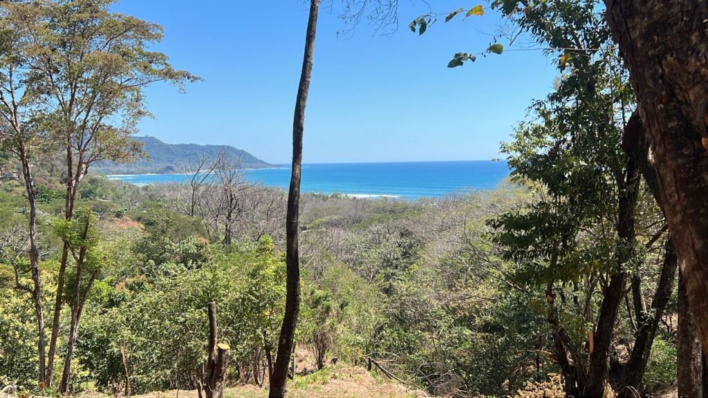 ece7bb43-d6dc-4d5a-bff3-5e3e345e08fa