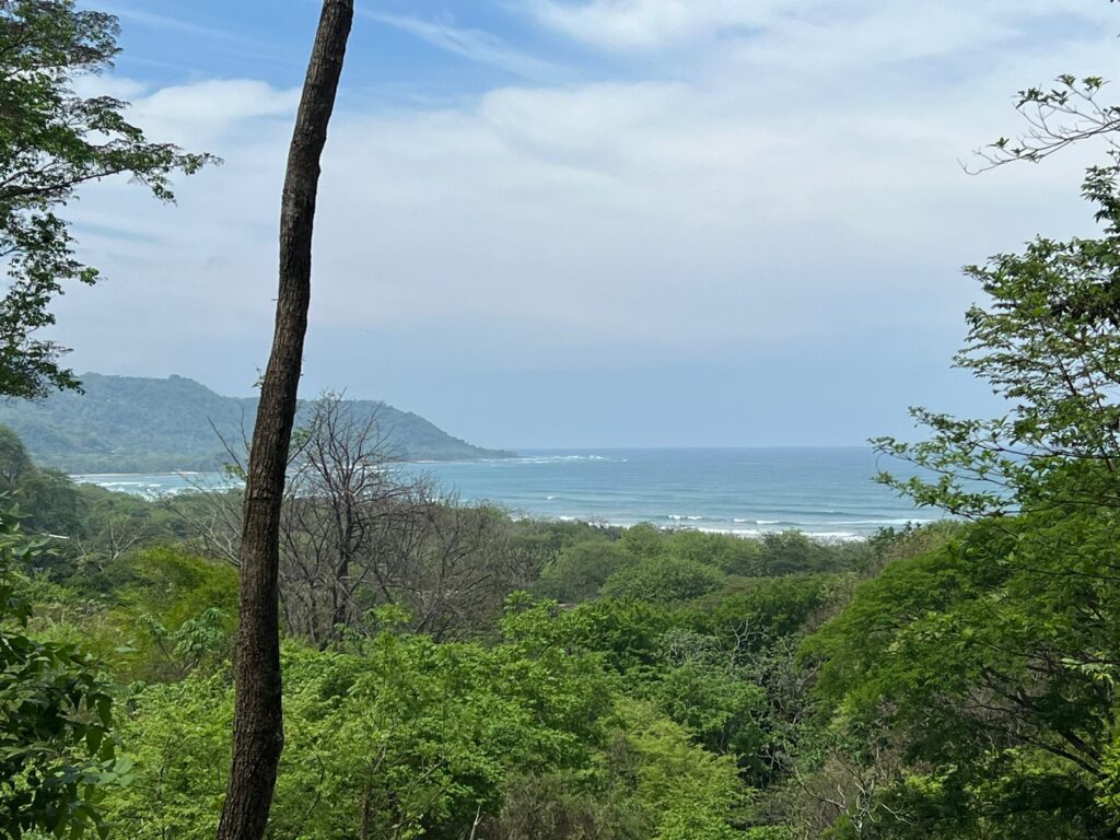 ff559e8d-b540-428f-9d3a-b1fb99309d66