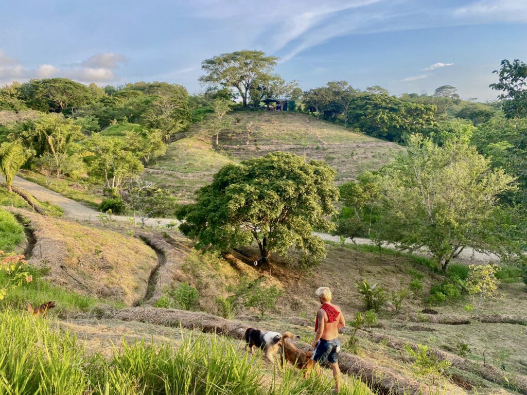 92242ff2-40cf-4dc3-ad9c-b4f129f4ac44