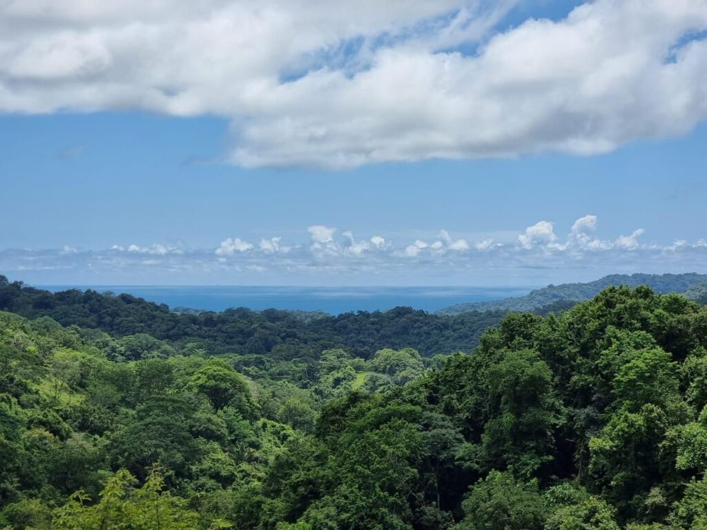 WhatsApp Image 2024-10-29 at 00.27.48