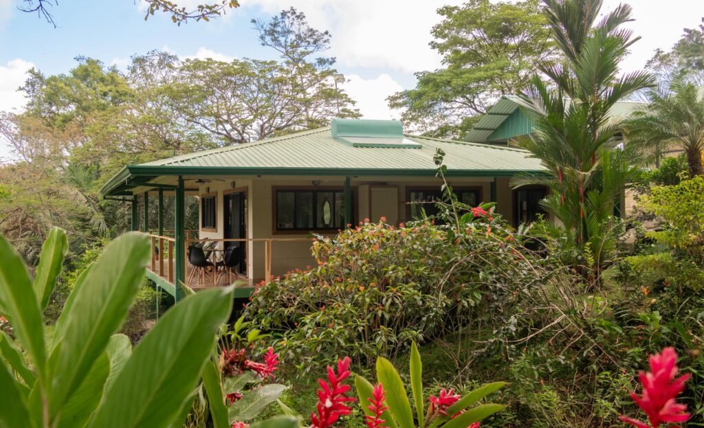 PHOTO-2025-01-23-15-22-55