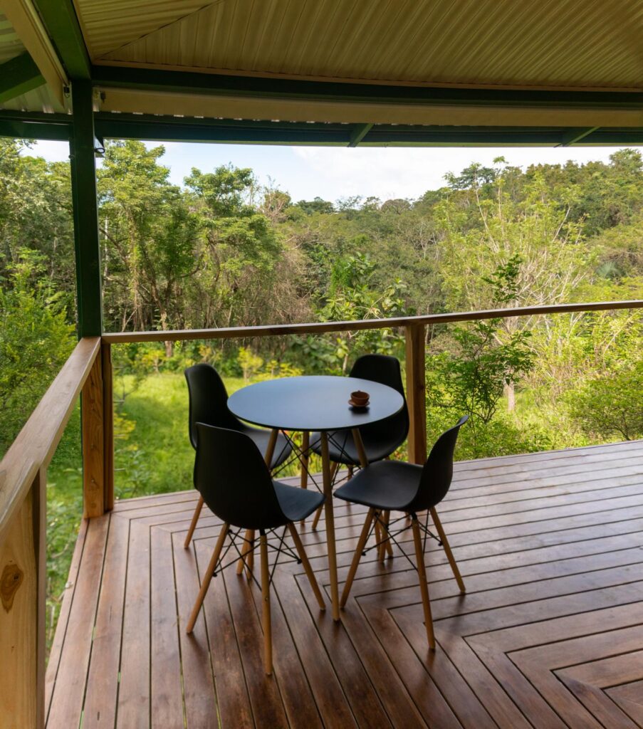 PHOTO-2025-01-23-15-22-56(2)