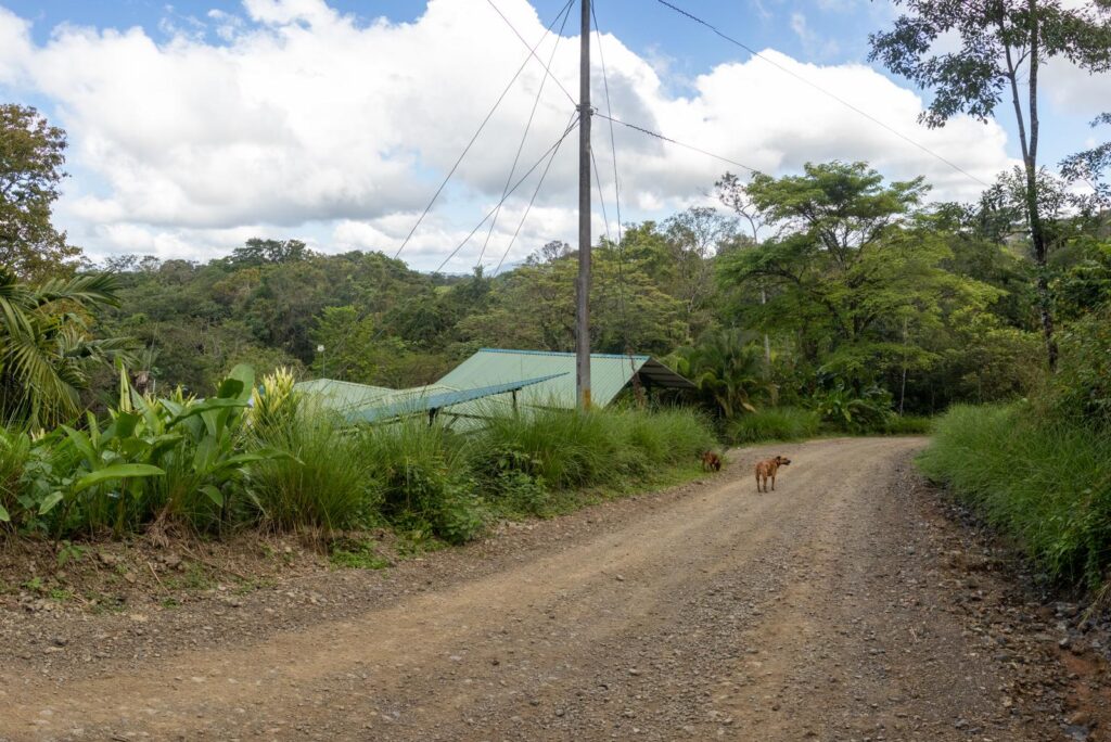 PHOTO-2025-01-23-15-22-57(10)