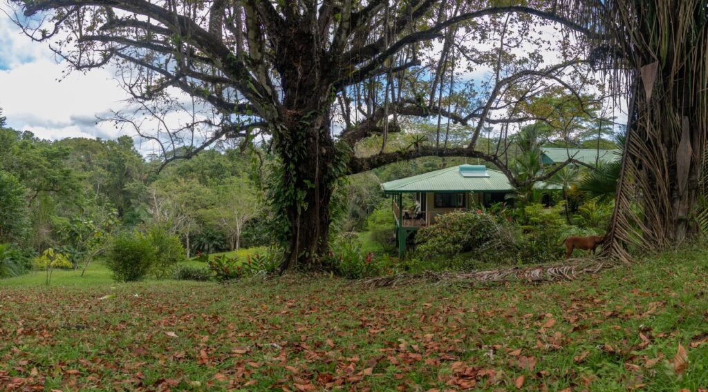 PHOTO-2025-01-23-15-22-57(11)