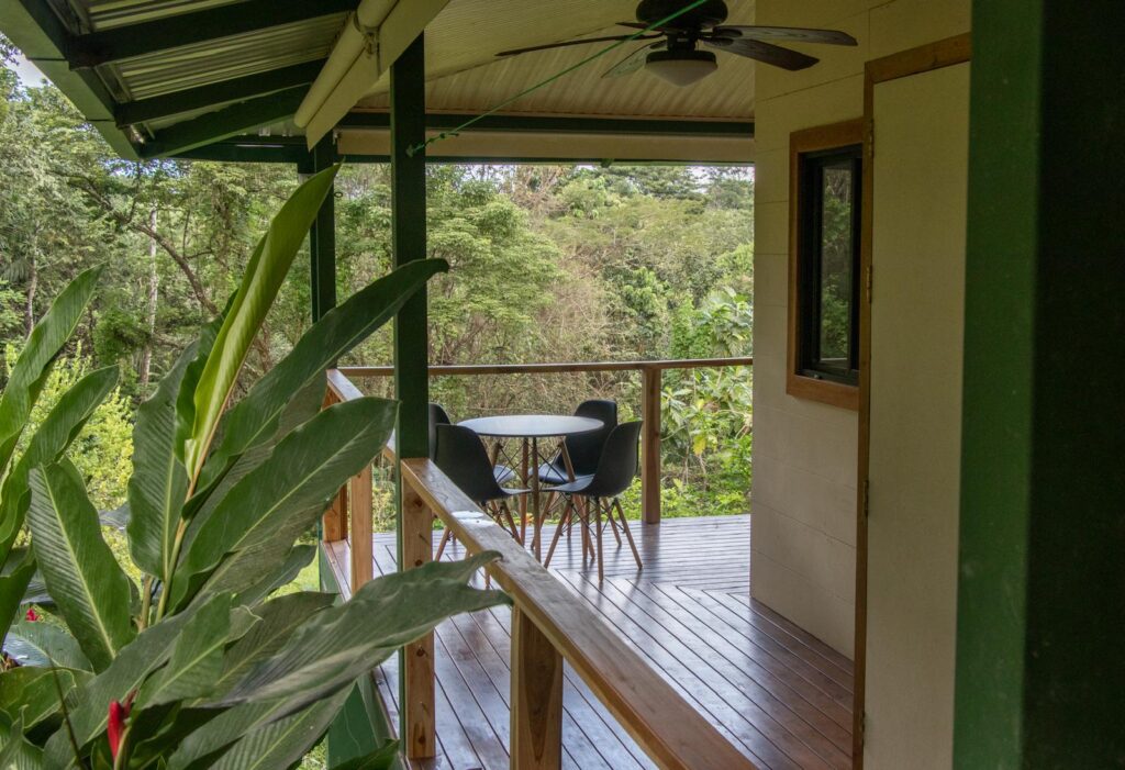 PHOTO-2025-01-23-15-22-57(9)