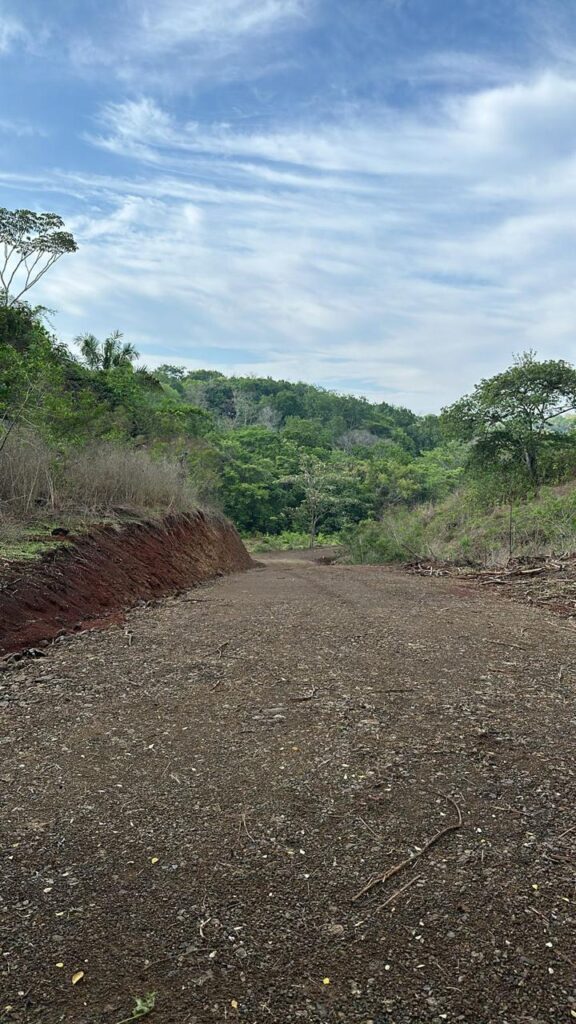 WhatsApp Image 2025-02-14 at 13.01.46 (1)