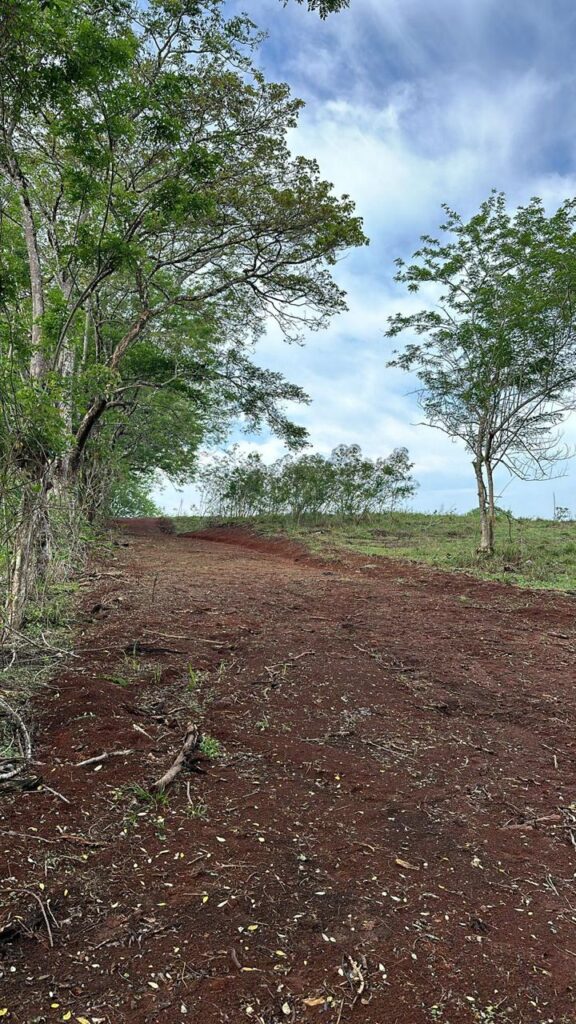 WhatsApp Image 2025-02-14 at 13.01.46 (2)