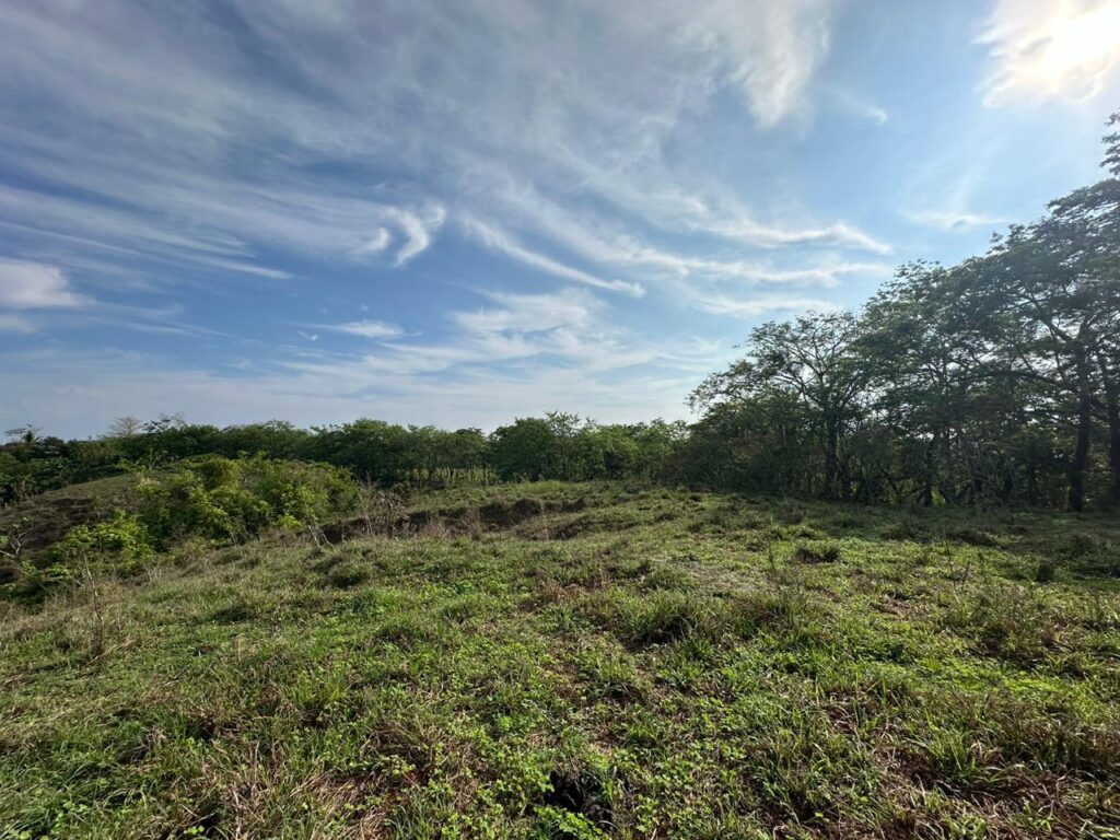 WhatsApp Image 2025-02-14 at 13.01.46 (3)