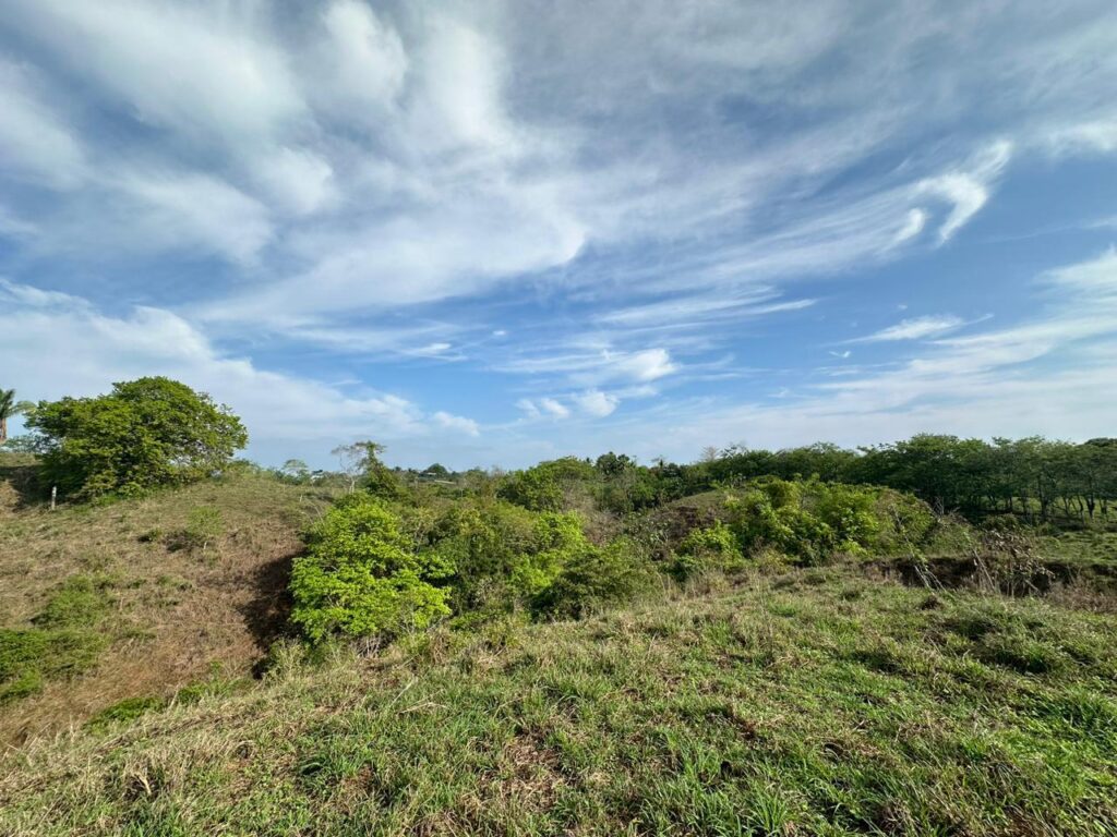 WhatsApp Image 2025-02-14 at 13.01.46 (4)