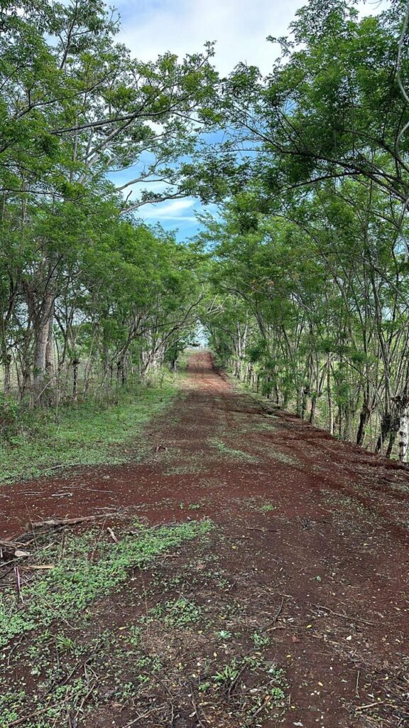 WhatsApp Image 2025-02-14 at 13.01.46