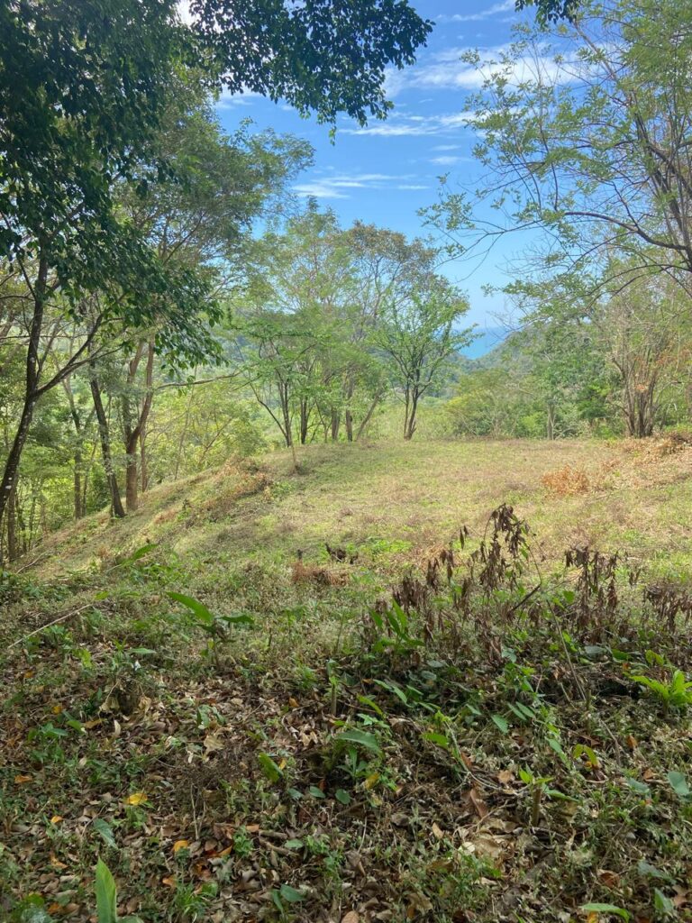 WhatsApp Image 2025-02-05 at 12.49.53 (1)